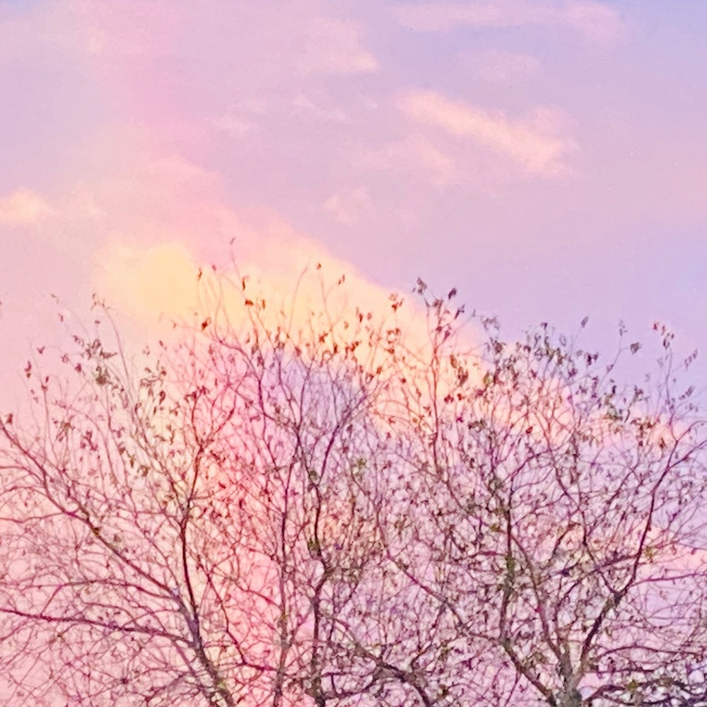 Meet your Posher, Cynthia